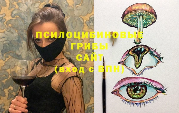 MDMA Premium VHQ Медвежьегорск