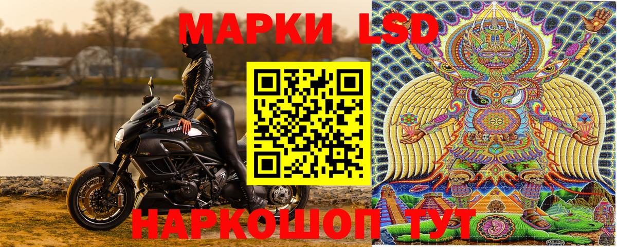 Наркотические марки  Чернушка  Марки N-bome 1,8мг 