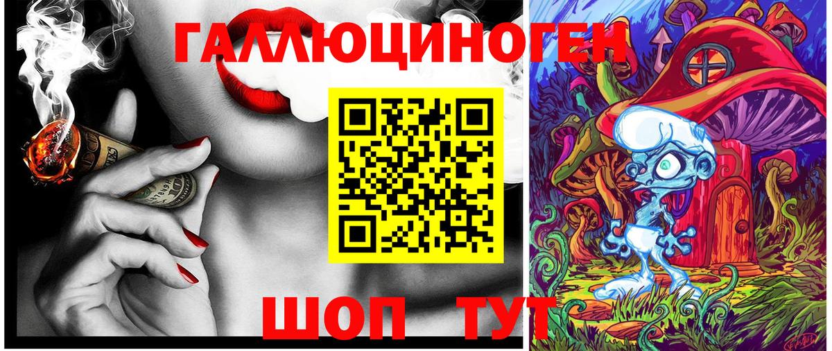 Псилоцибиновые грибы MAGIC MUSHROOMS Чернушка